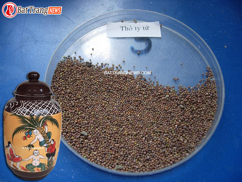 b&agrave;i thuốc ng&acirc;m rượu bổ thận tr&aacute;ng dương 2