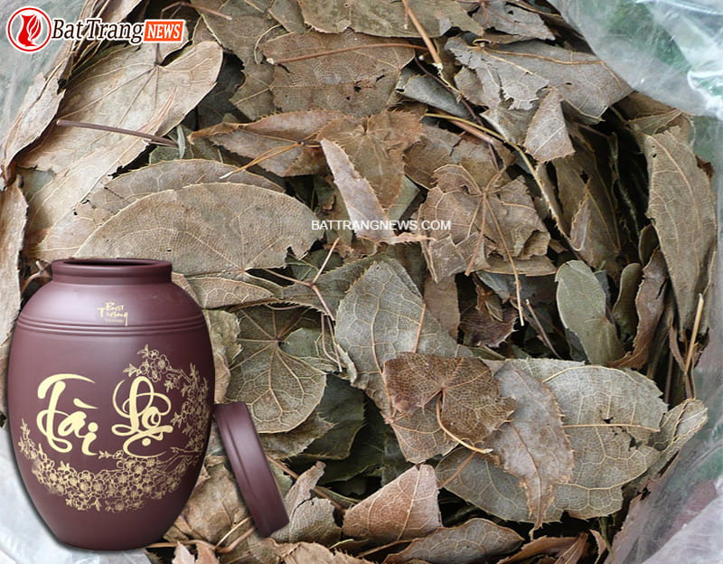 b&agrave;i thuốc ng&acirc;m rượu bổ thận tr&aacute;ng dương