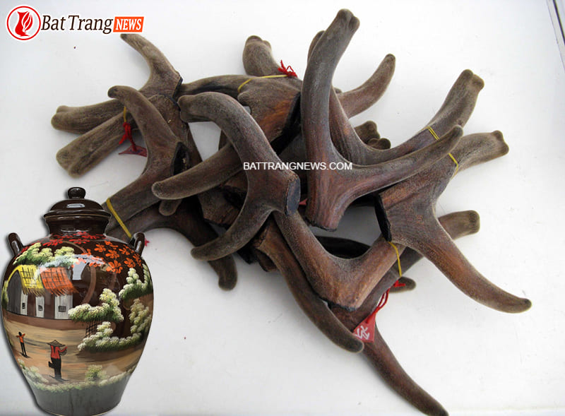 b&agrave;i thuốc ng&acirc;m rượu bổ thận tr&aacute;ng dương 5