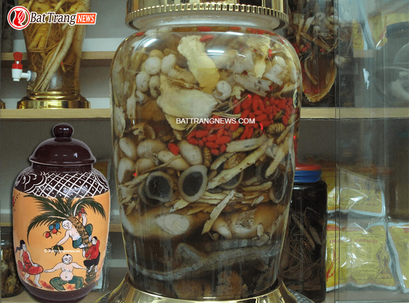 t&aacute;c dụng b&agrave;i thuốc ng&acirc;m rượu bổ thận tr&aacute;ng dương