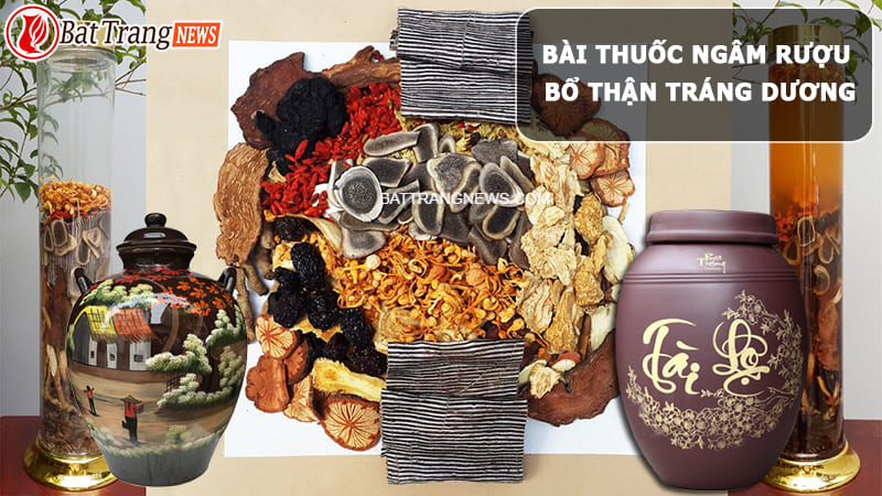 b&agrave;i thuốc ng&acirc;m rượu bổ thận tr&aacute;ng dương