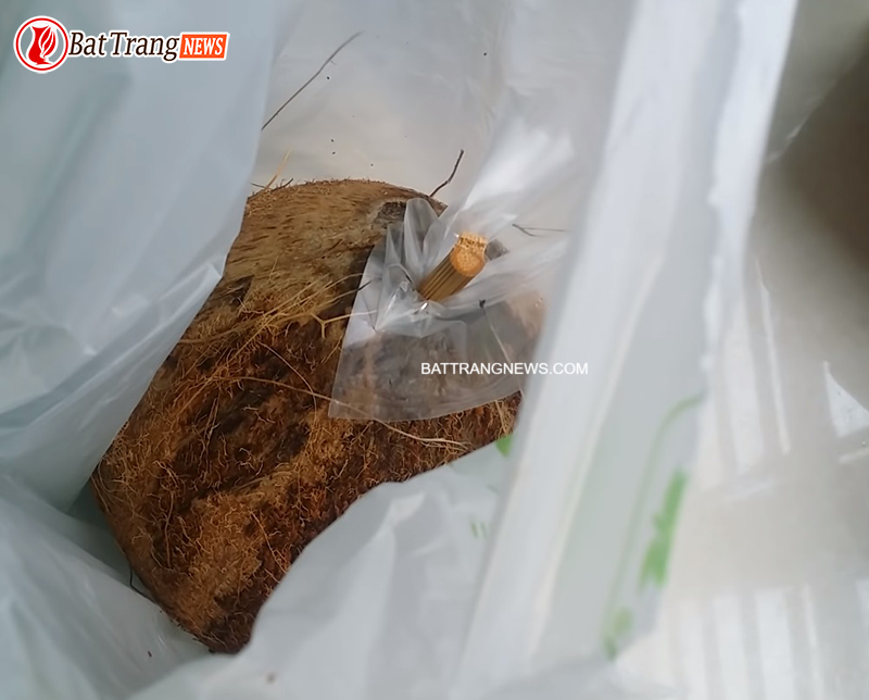 Cách ngâm rượu dừa 3