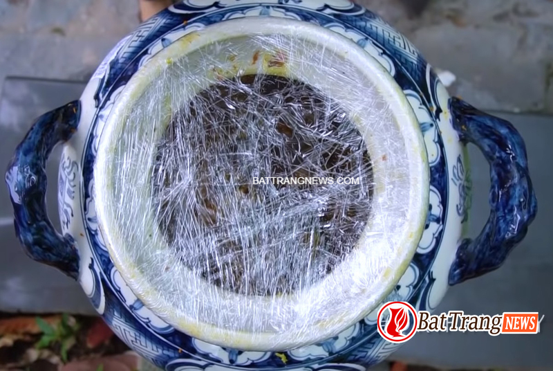 CÁCH ngâm RƯỢU GỪNG