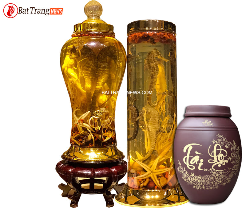 c&aacute; ngựa ng&acirc;m rượu với nh&acirc;n s&acirc;m