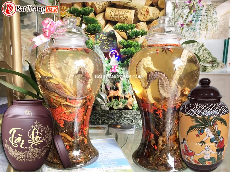 rượu c&aacute; ngựa b&agrave;i thuốc qu&yacute; hiếm