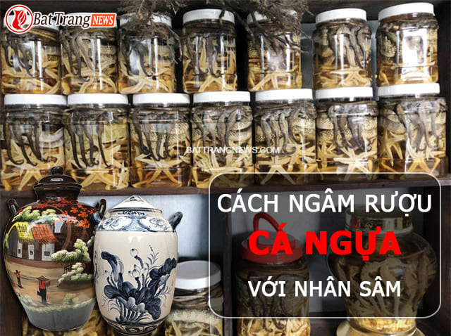 c&aacute;ch ng&acirc;m rượu c&aacute; ngựa
