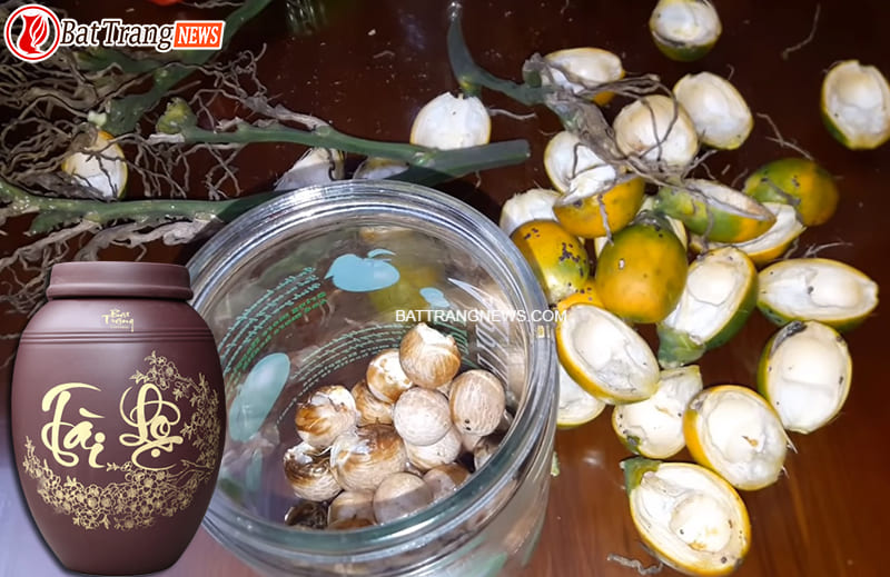 C&aacute;ch ng&acirc;m rượu hạt cau chữa đau răng 2