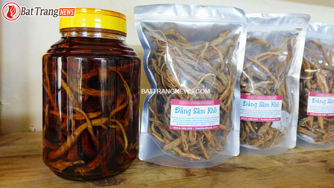 cách ngâm rượu đẳng sâm 5