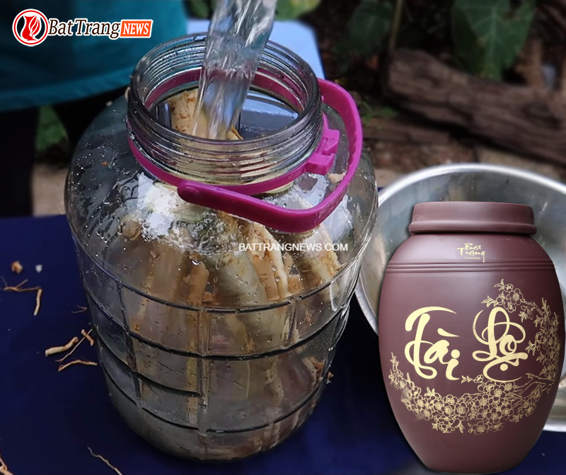 cách ngâm rượu đinh lăng