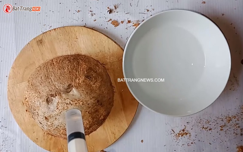 Cách ngâm rượu dừa