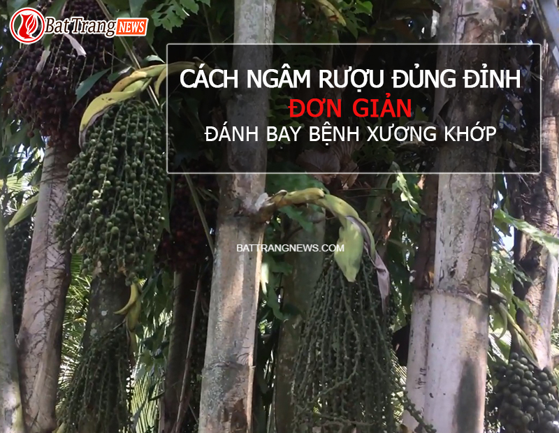 CÁCH NGÂM RƯỢU ĐỦNG ĐỈNH