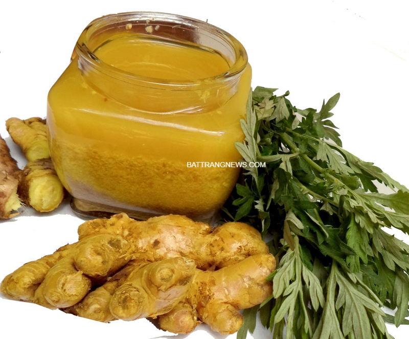 CÁCH LÀM RƯỢU GỪNG NGHỆ CHO BÀ BẦU 2