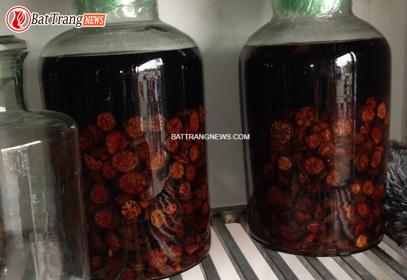 c&aacute;ch ng&acirc;m rượu hạt gấc