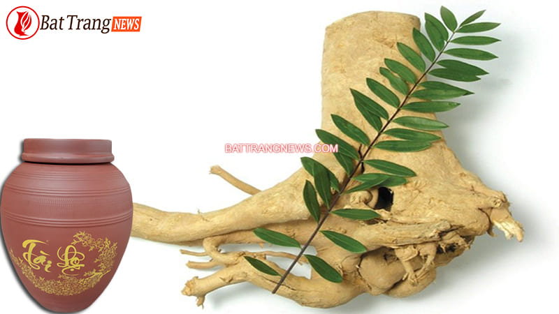 C&aacute;ch ng&acirc;m rượu mật nh&acirc;n 5