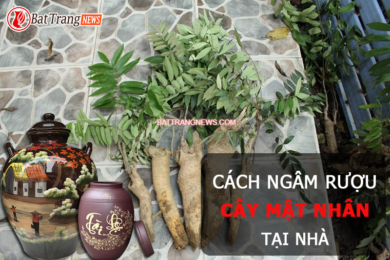 C&aacute;ch ng&acirc;m rượu mật nh&acirc;n