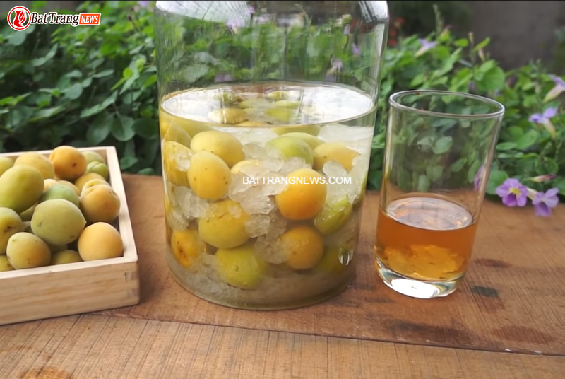 c&aacute;ch ng&acirc;m rượu mơ