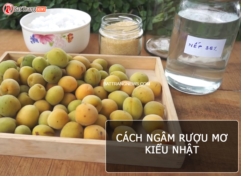 c&aacute;ch ng&acirc;m rượu mơ kiểu nhật Umeshu