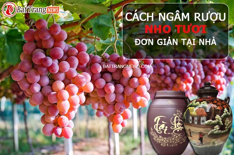 cách ngâm rượu nho tươi