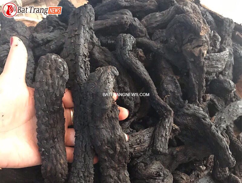 cách ngâm rượu nhục thung dung 3