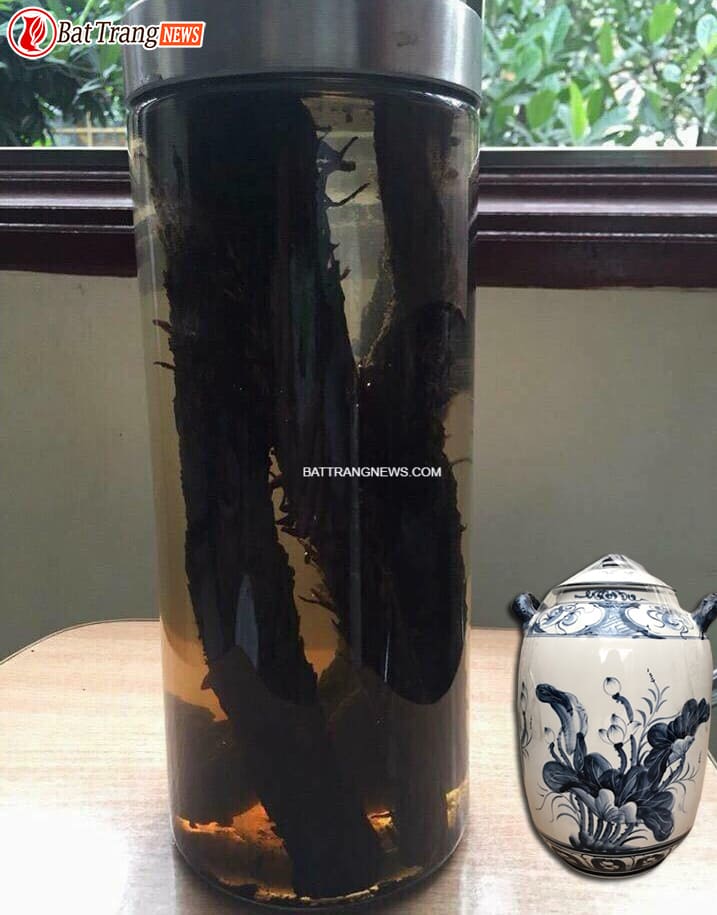 cách ngâm rượu nhục thung dung 5