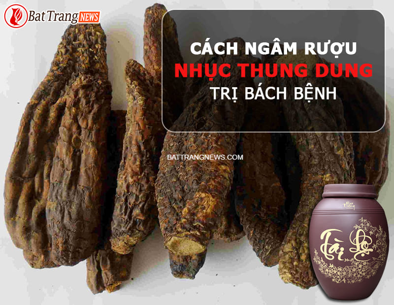 cách ngâm rượu nhục thung dung