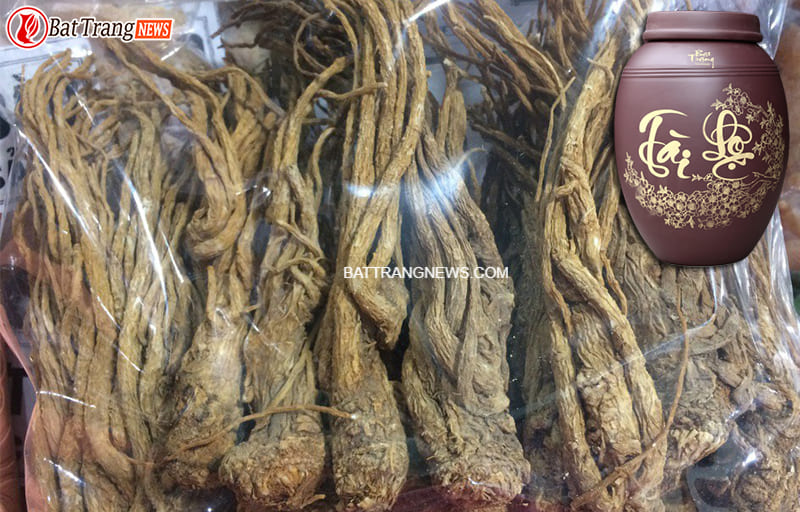 cách ngâm rượu sâm xuyên đá khô