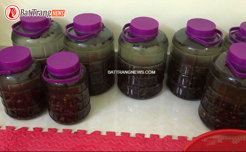 t&aacute;c dụng rượu sim rừng