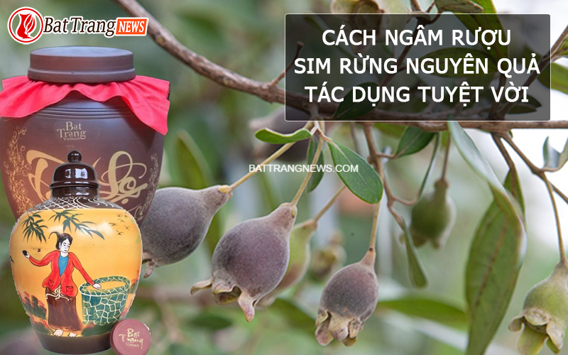 c&aacute;ch ng&acirc;m rượu sim rừng nguy&ecirc;n quả