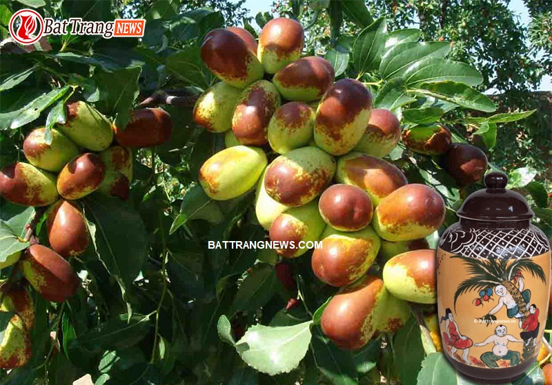 TÁC DỤNG RƯỢU TÁO TÀU