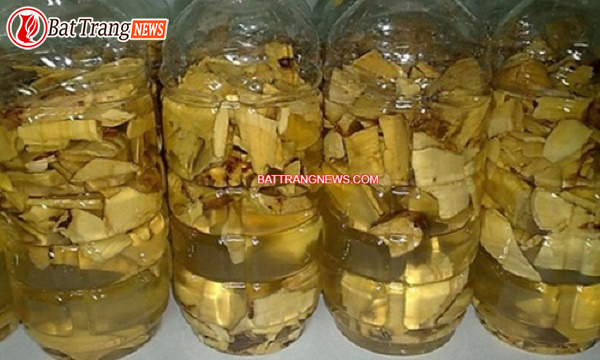 t&aacute;c dụng c&acirc;u lược v&agrave;ng