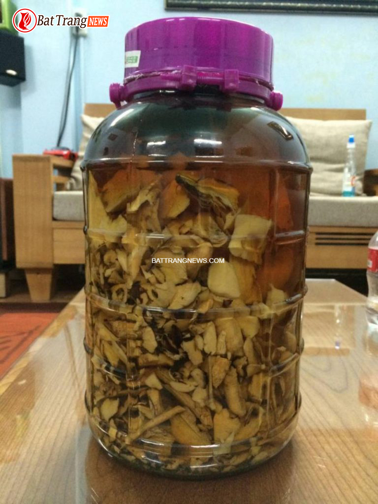 TÁC DỤNG LÁ CÂY MẬT GẤU