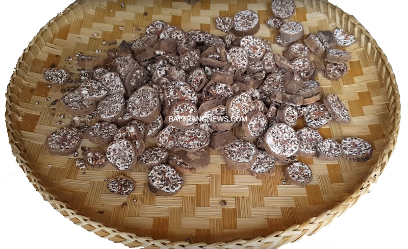 chu&ocirc;́i h&ocirc;̣t ng&acirc;m m&acirc;̣t ong