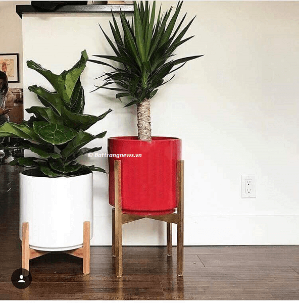 mua chậu hoa gốm sứ bát tràng ở đâu giá rẻ