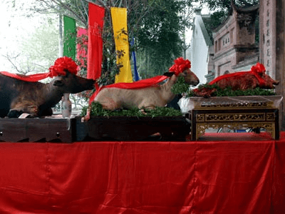 lễ tam sinh trong hội l&agrave;ng truyền thống giang cao b&aacute;t tr&agrave;ng