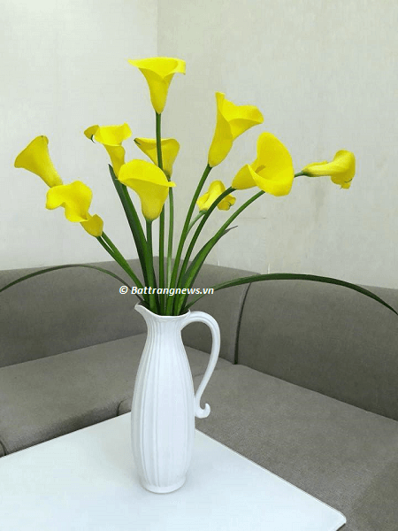 mẫu hoa đẹp phòng khách