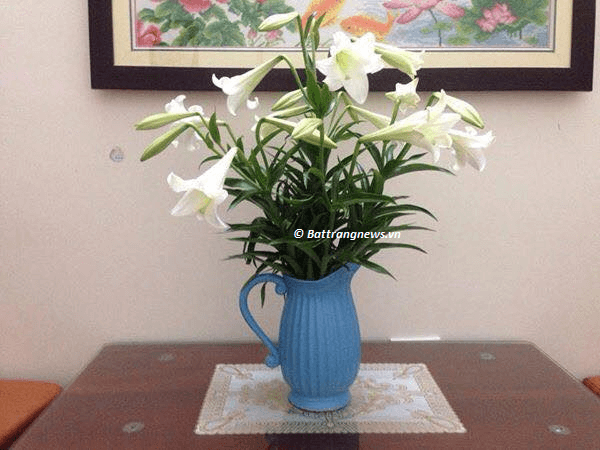 bình gốm cắm hoa