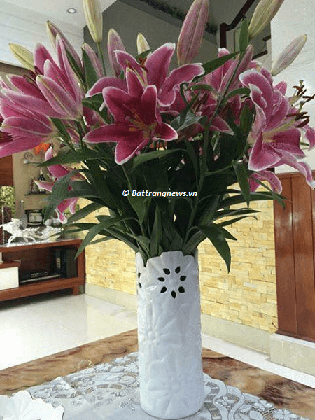 bình hoa sứ trắng