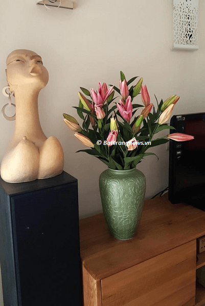 lọ hoa trang trí phòng khách