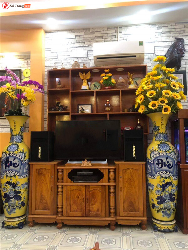 lục bình phòng khách