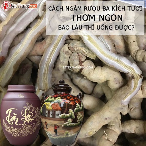 Cách ngâm rượu ba kích tươi thơm ngon, bao lâu thì uống được?