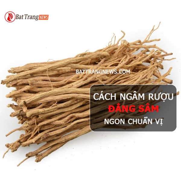 Cách ngâm rượu đẳng sâm tươi và khô đơn giản ngay tại nhà