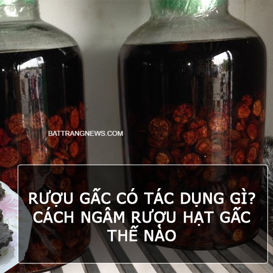 Rượu gấc có tác dụng gì? Cách ngâm rượu hạt gấc thế nào