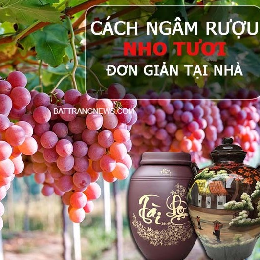 Cách ngâm rượu nho tươi tại nhà ngon và nhanh nhất