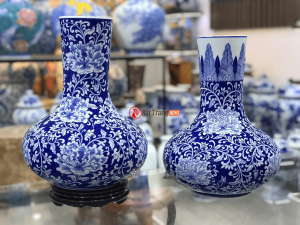 Tỏi thẳng phình bụng 38cm hoa dây