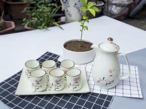 Bộ cốc và bình đựng nước men kem đào hồng kèm khay sứ