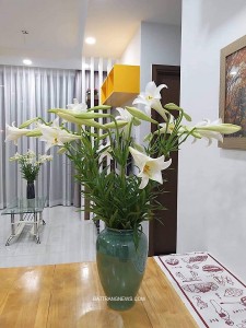 Vò cao s1 men hoả biến xanh ngọc Vò cao s1 men hoả biến xanh ngọc